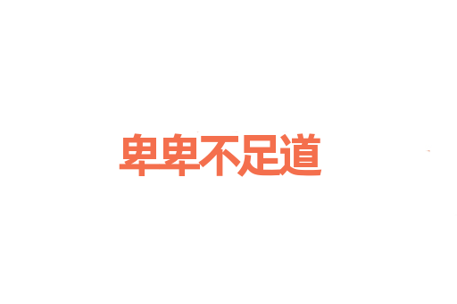 卑卑不足道